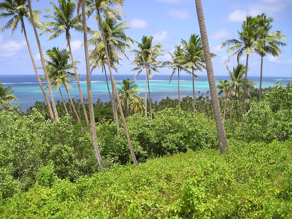 Коро остров, Ломаивити группа островов, Фиджи, фото № 48699 – фотографии Фиджи