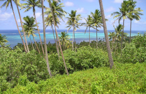 Коро остров, Ломаивити группа островов, Фиджи, фото № 48699 – фотографии Фиджи