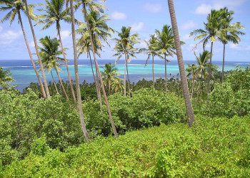 Коро остров, Ломаивити группа островов, Фиджи, фото № 48699 – фотографии Фиджи