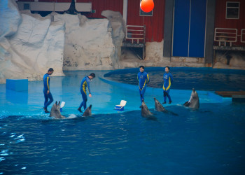 Полярный Океанский Мир (Polar Ocean World) – фотографии Китая