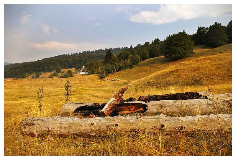Поле в Национальном парке, Черногория. Фото 11 – фотографии Черногории