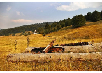 Поле в Национальном парке, Черногория. Фото 11 – фотографии Черногории