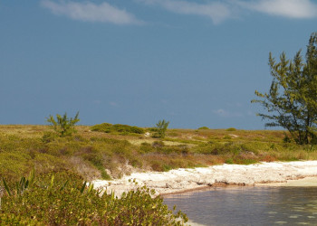 Берега в Кайо-Гильермо, Куба – фотографии Кубы