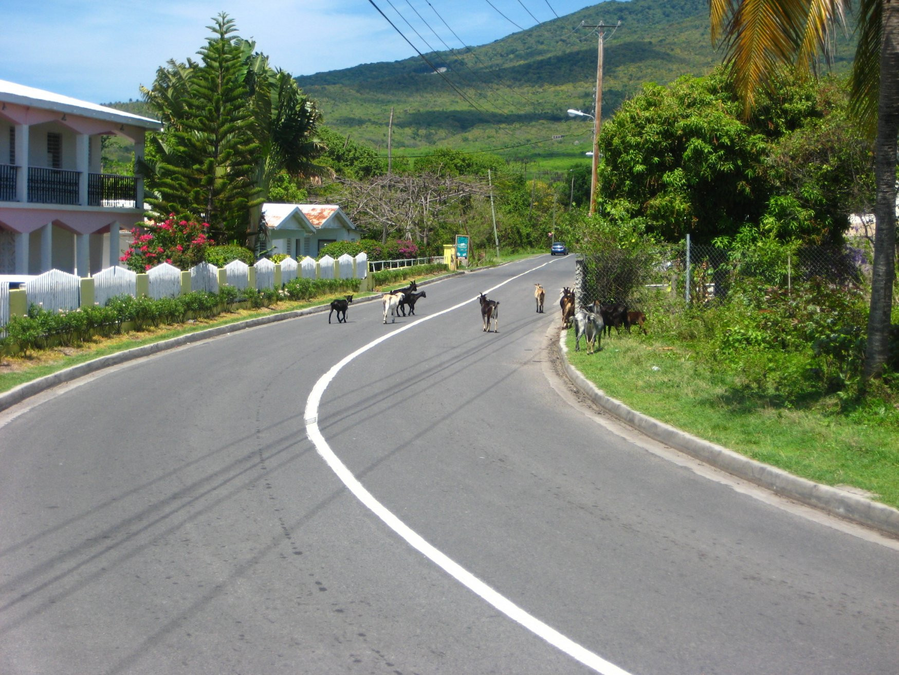 Невис остров, Сент-Китс и Невис, фото № 71544 – фотографии Сент-Китс и Невис
