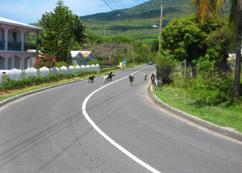 Невис остров, Сент-Китс и Невис, фото № 71544 – фотографии Сент-Китс и Невис