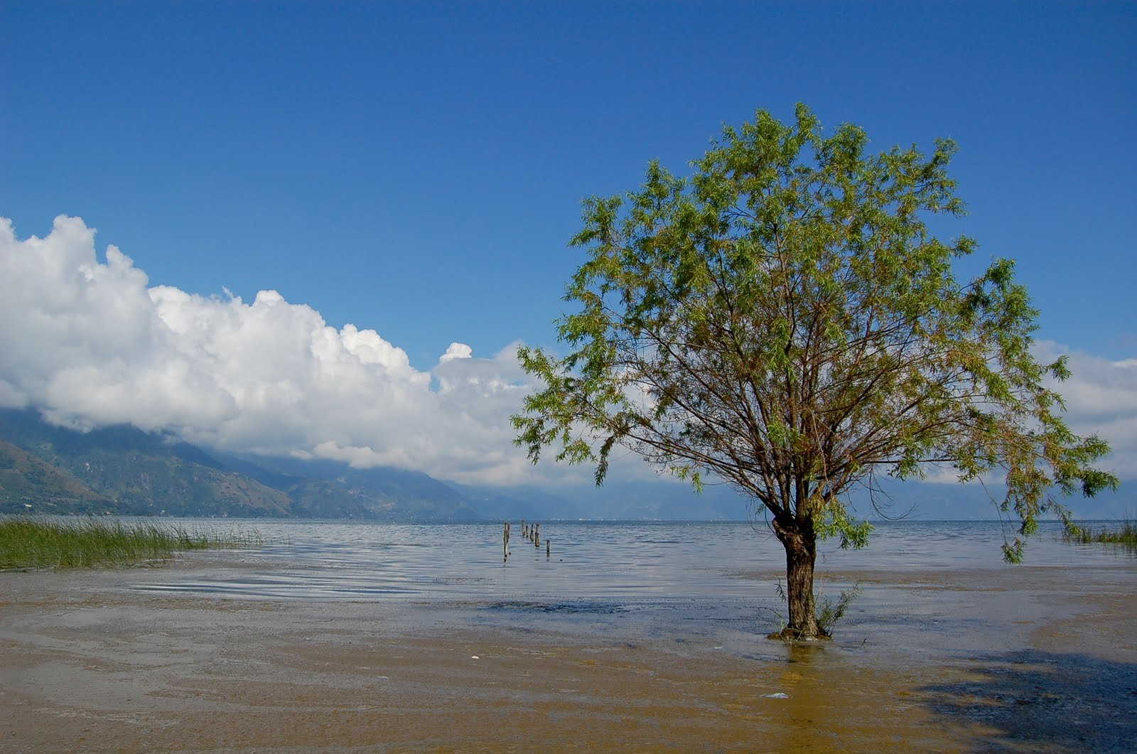 Сан Педро ла Лагуна, Атитлан озеро, Гватемала, фото № 70912 – фотографии Гватемалы