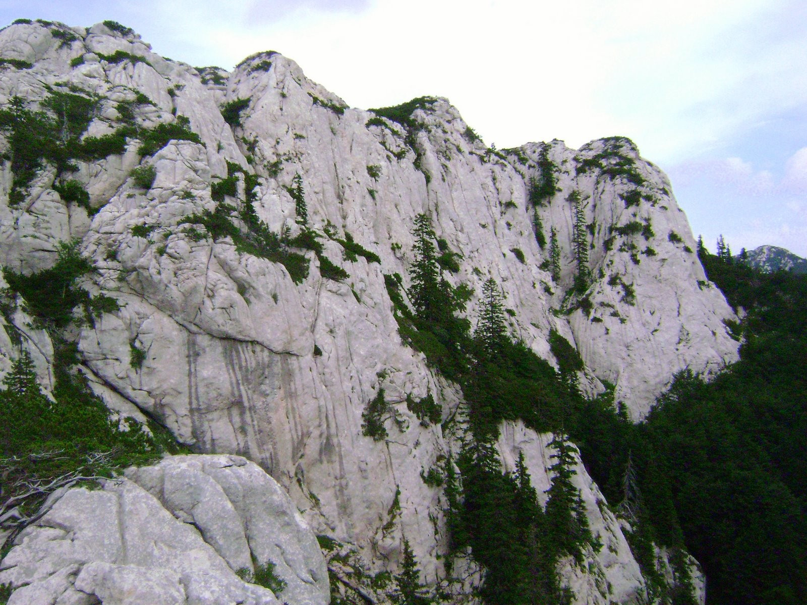 Скала в Северный Велебит Национальный, Хорватия. Фото 1 – фотографии Хорватии