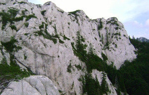 Скала в Северный Велебит Национальный, Хорватия. Фото 1 – фотографии Хорватии