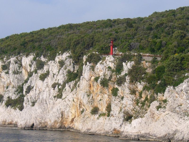 Скала на острове Црес, Хорватия. Фото 8 – фотографии Хорватии