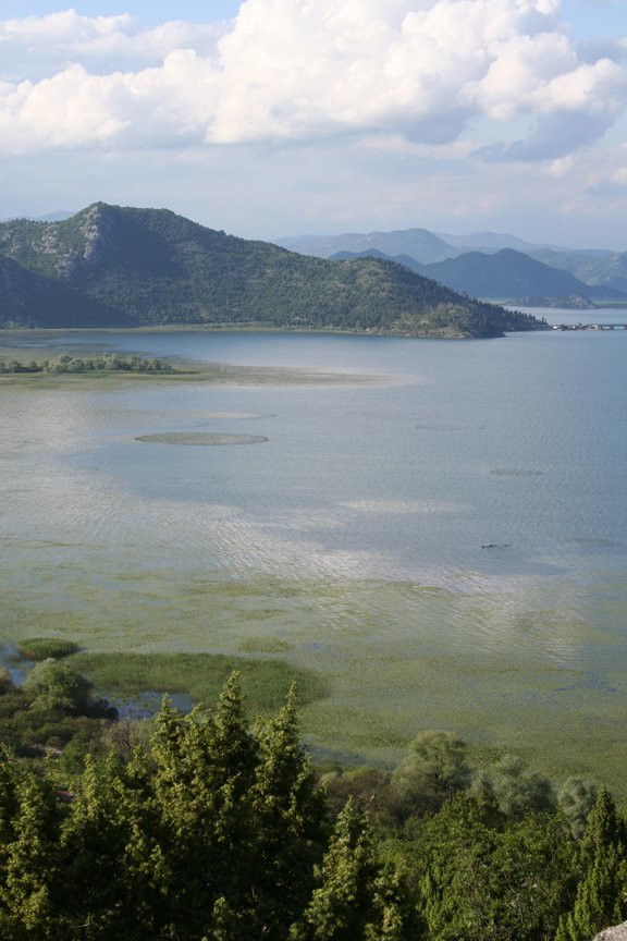 Скадарское озеро, Черногория. Фото 43 – фотографии Черногории