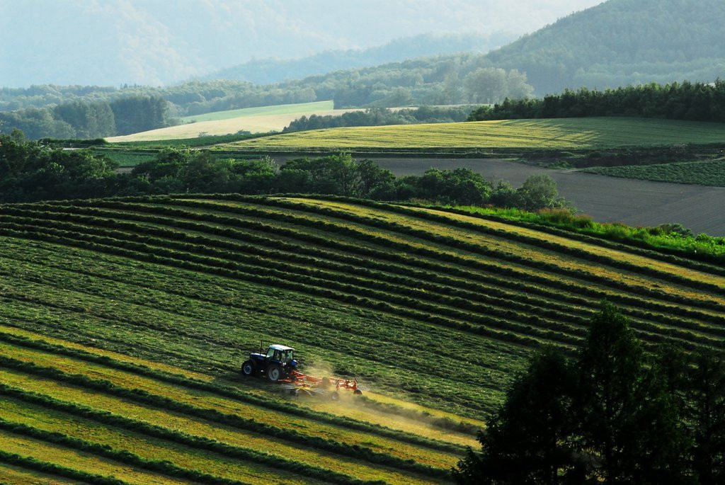 Хоккайдо остров, Хоккайдо регион, Япония, фото № 72735 – фотографии Японии