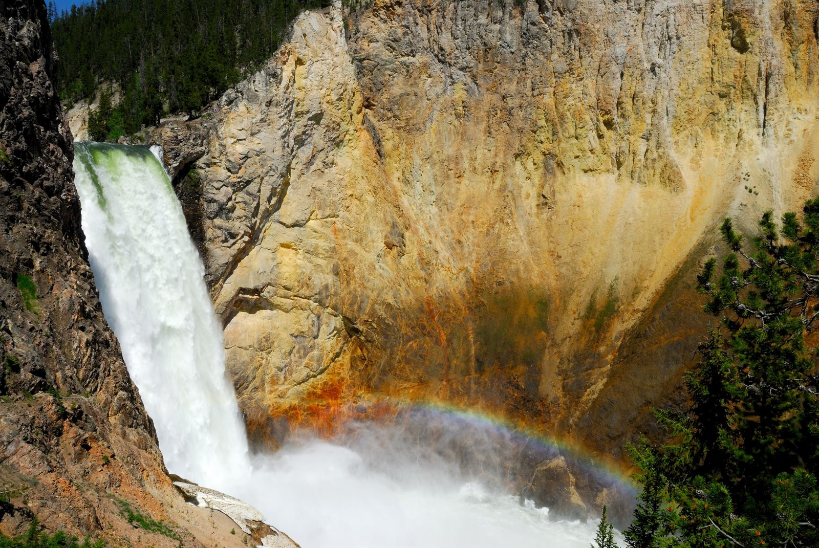 Национальный парк Йеллоустон в США. Фото 6 – фотографии США