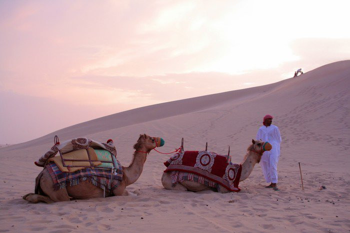 ОАЭ, фото № 1586 – фотографии ОАЭ