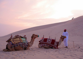 ОАЭ, фото № 1586 – фотографии ОАЭ