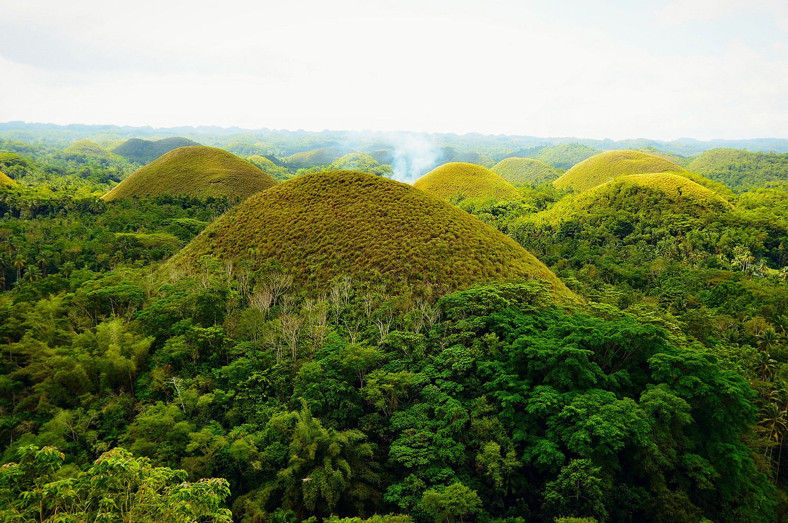 Шоколадные холмы на острове Бохоль, Филиппины. Фото 1 – фотографии Филиппин
