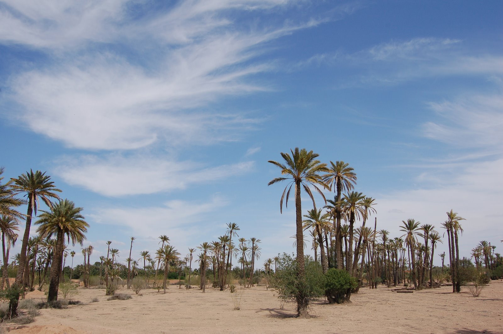 Марракеш, Марокко, фото № 7701 – фотографии Марокко