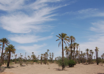 Марракеш, Марокко, фото № 7701 – фотографии Марокко