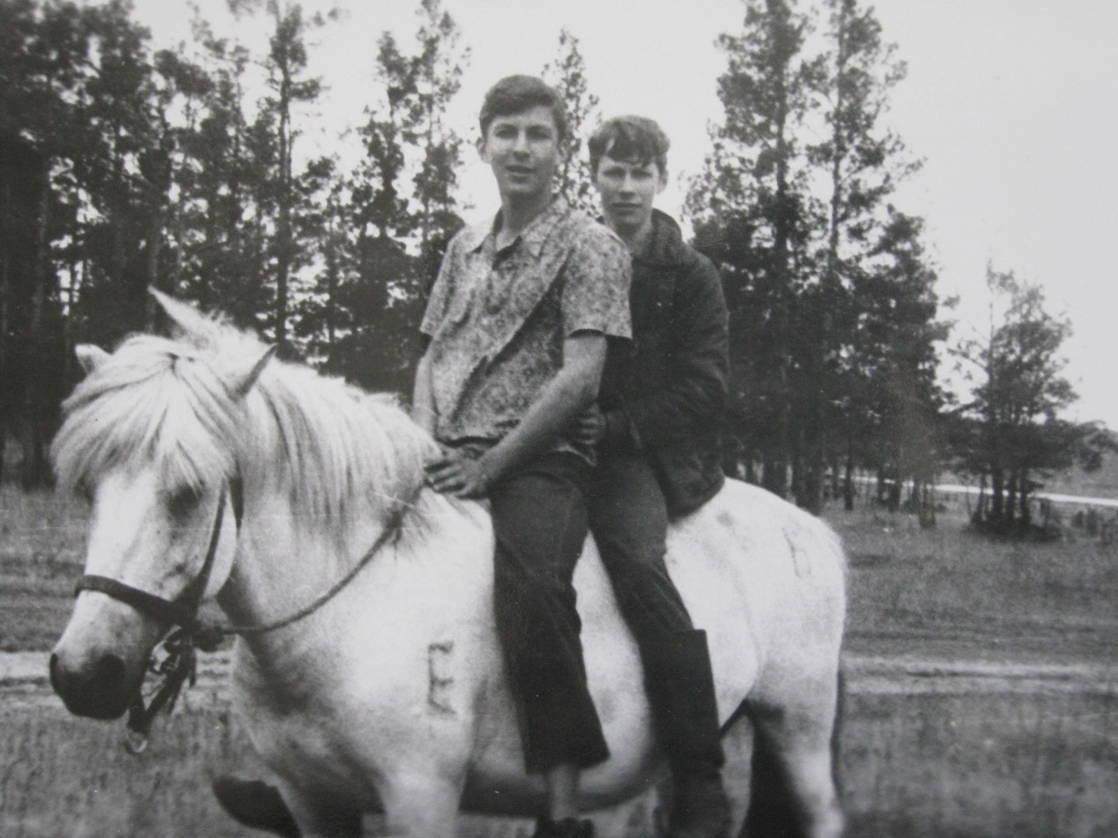 архивы – фотографии России