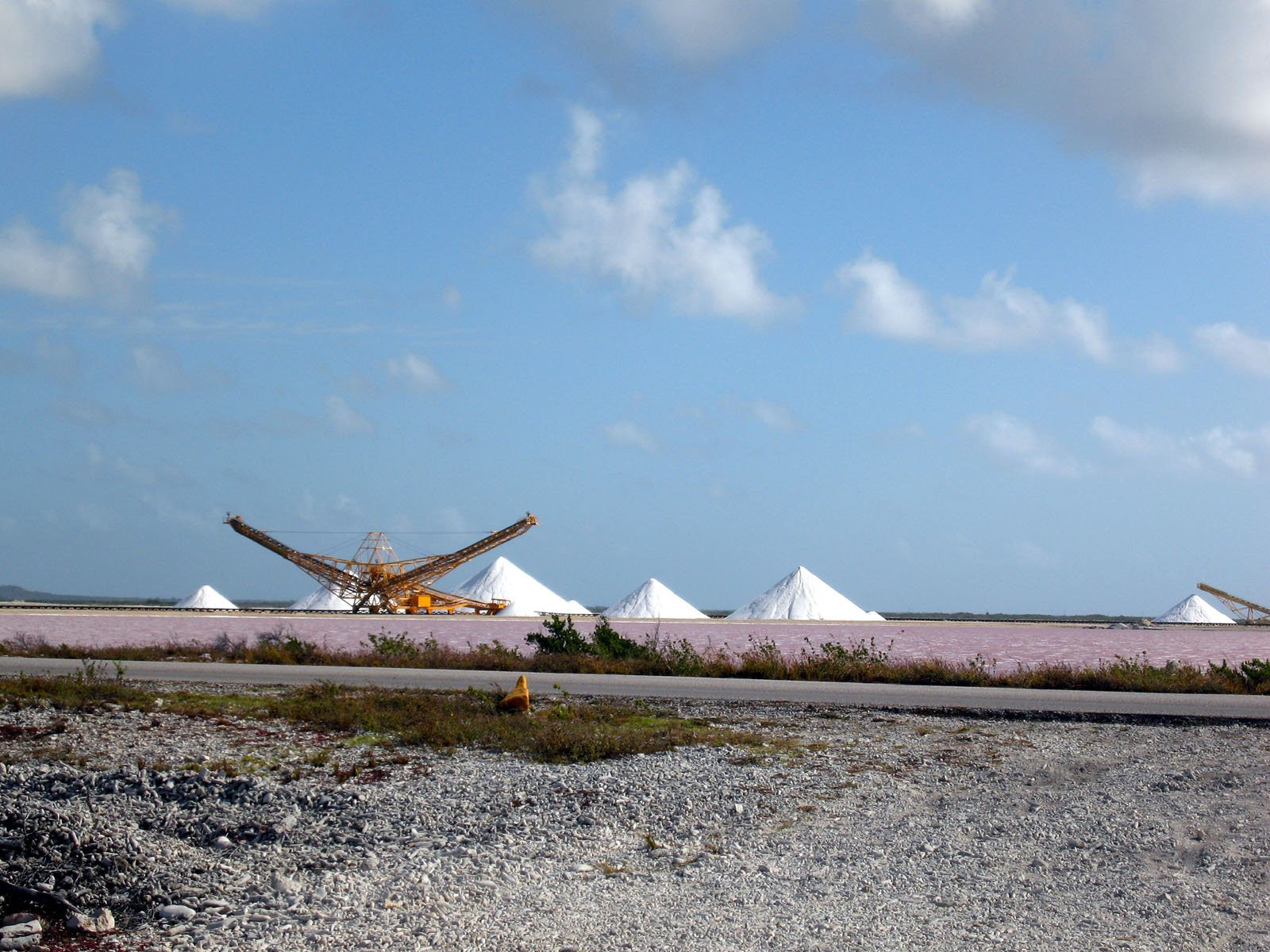 Добыча соли – фотографии Карибских Нидерландов