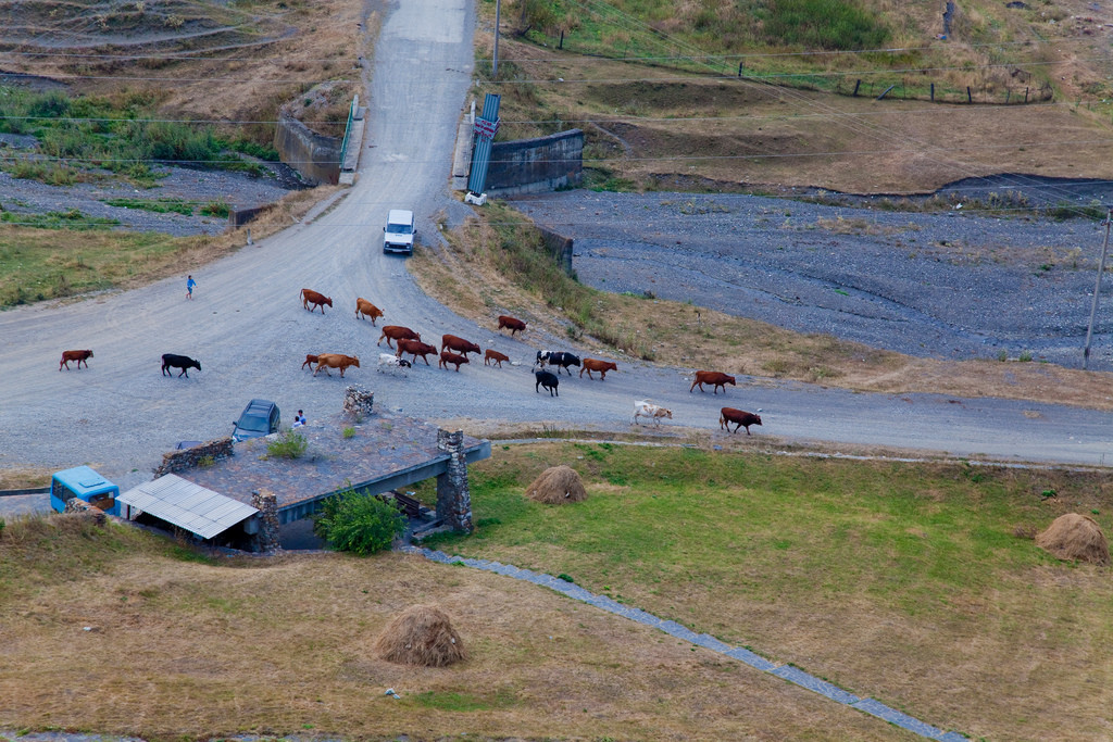 Даргавс, Северная Осетия. Фото 1 – фотографии России
