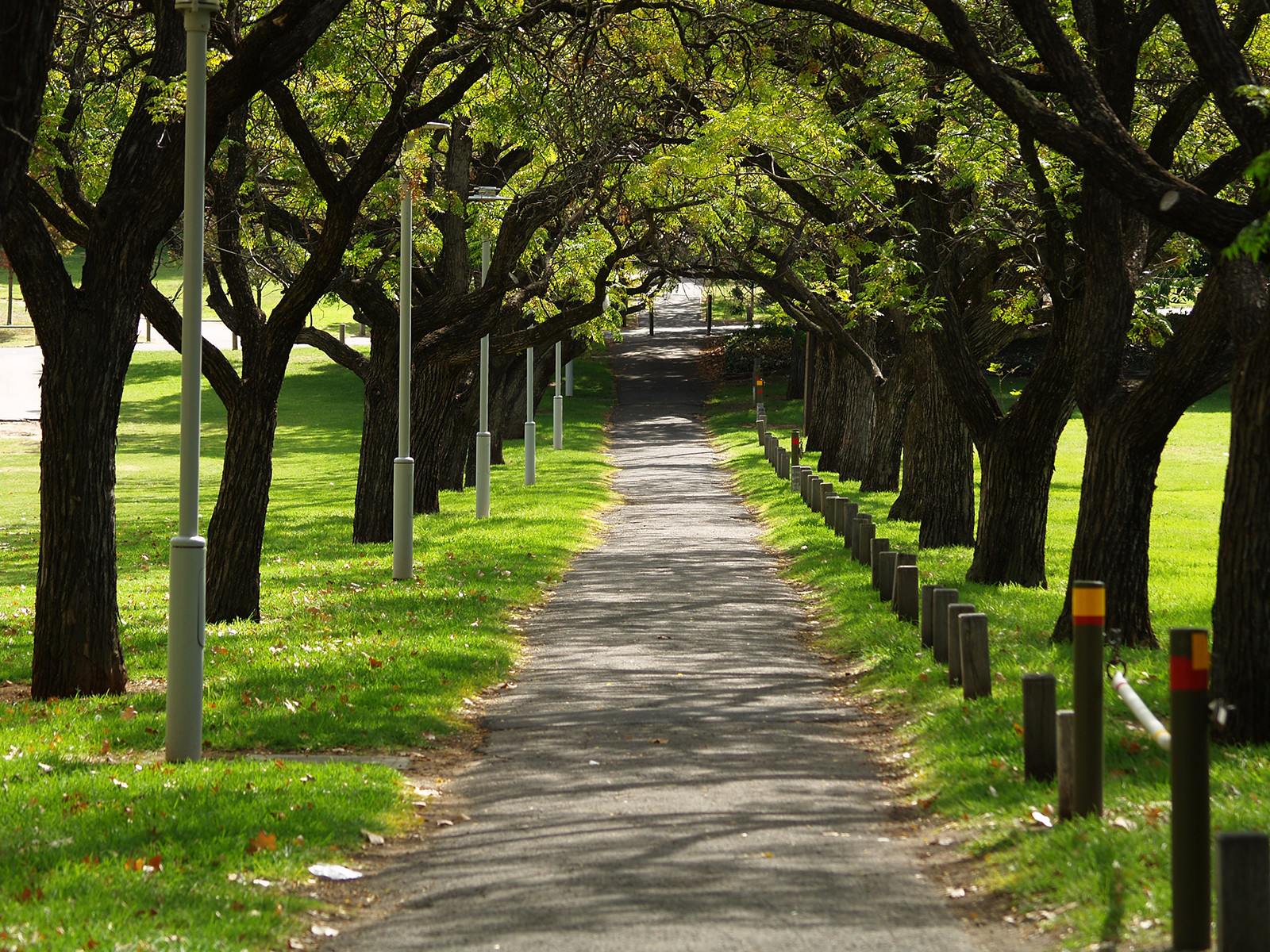 Аделаида (Adelaide). Фото 7 – фотографии Австралии