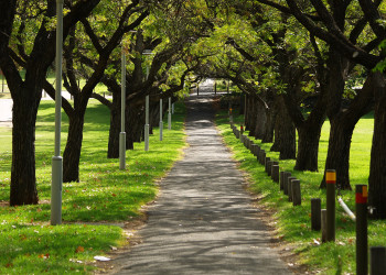 Аделаида (Adelaide). Фото 7 – фотографии Австралии