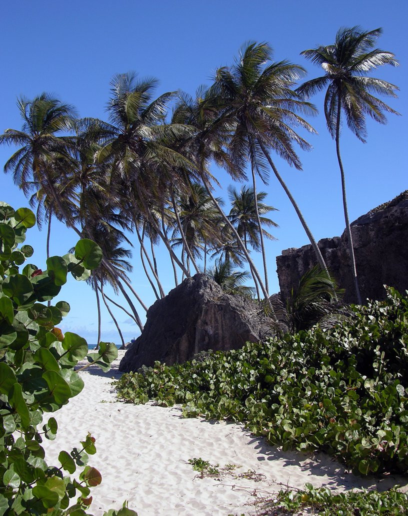 Пляж на Южном побережье, Барбадос. Фото 49 – фотографии Барбадоса