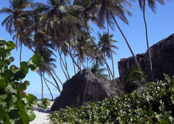 Пляж на Южном побережье, Барбадос. Фото 49 – фотографии Барбадоса