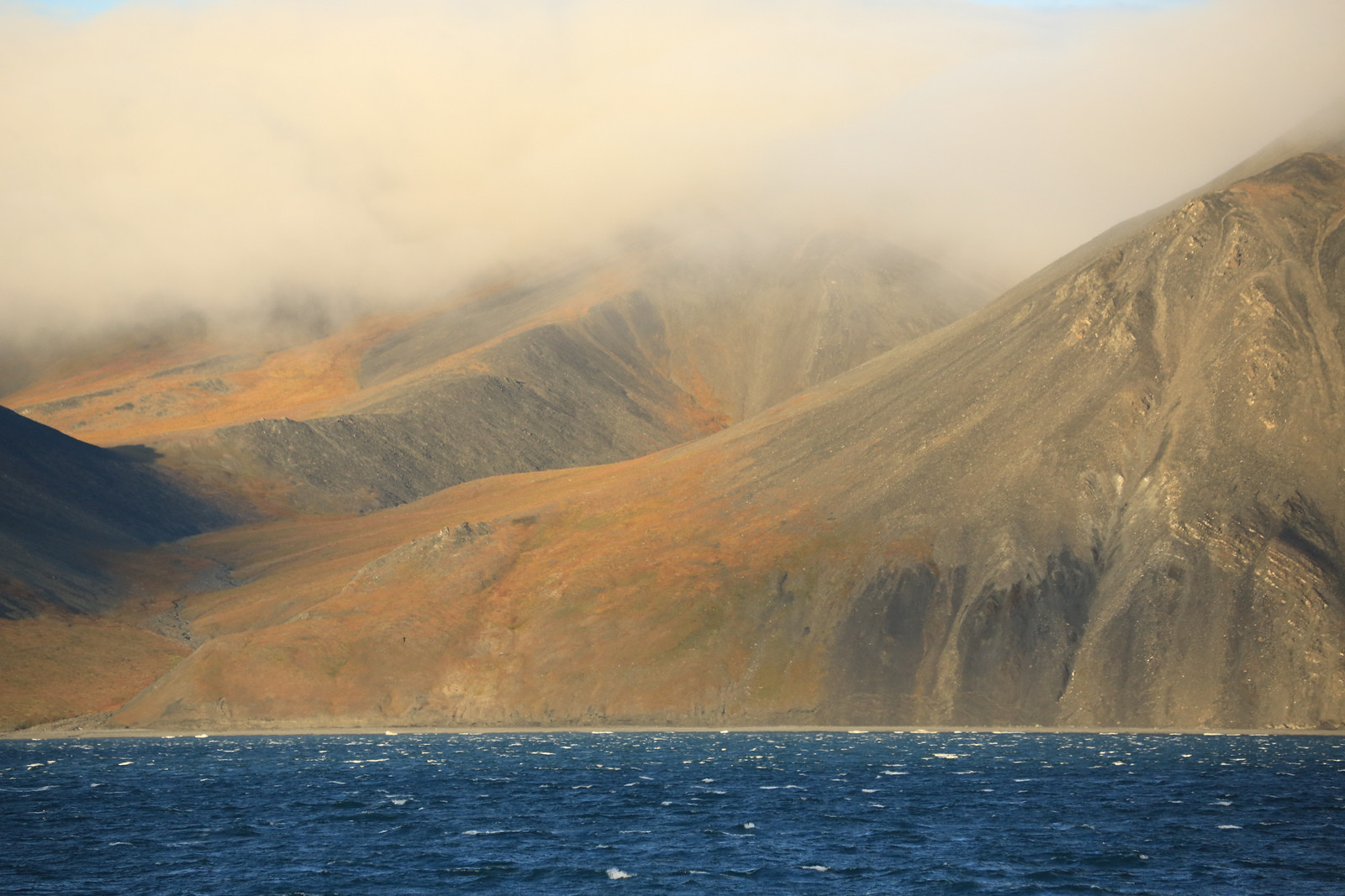 Остров Врангеля, Чукотка – фотографии России