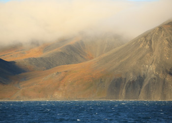 Остров Врангеля, Чукотка – фотографии России