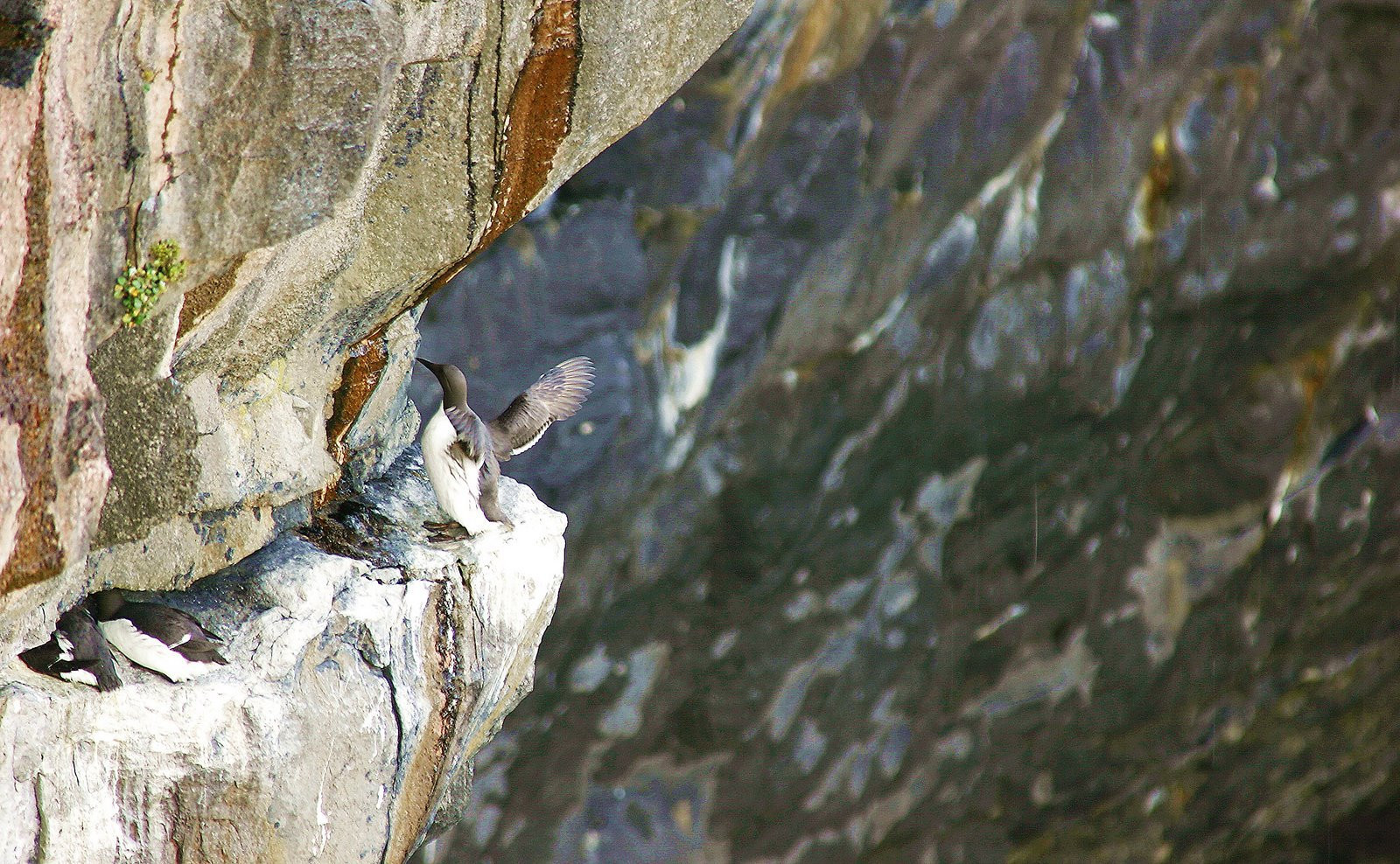 Ирландия, фото № 2578 – фотографии Ирландии