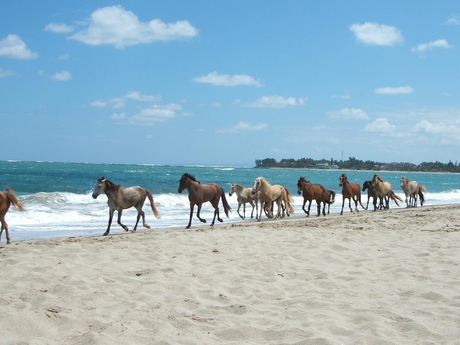Пляж в Кабарете – фотографии Доминиканы