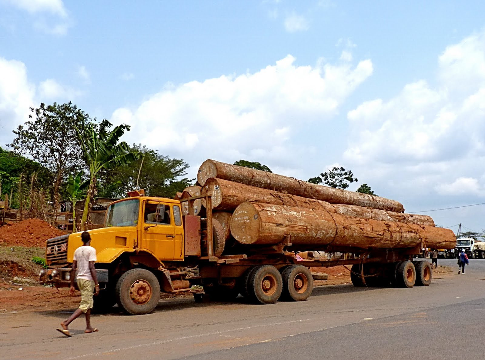 Камерун, фото № 3828 – фотографии Камеруна