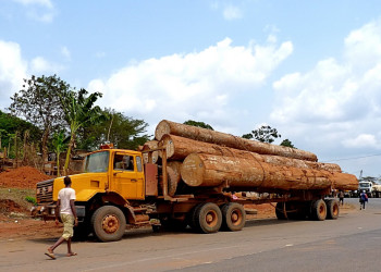 Камерун, фото № 3828 – фотографии Камеруна