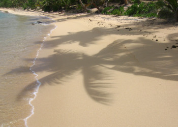 Вайа остров, Ясава группа островов, Фиджи, фото № 49861 – фотографии Фиджи