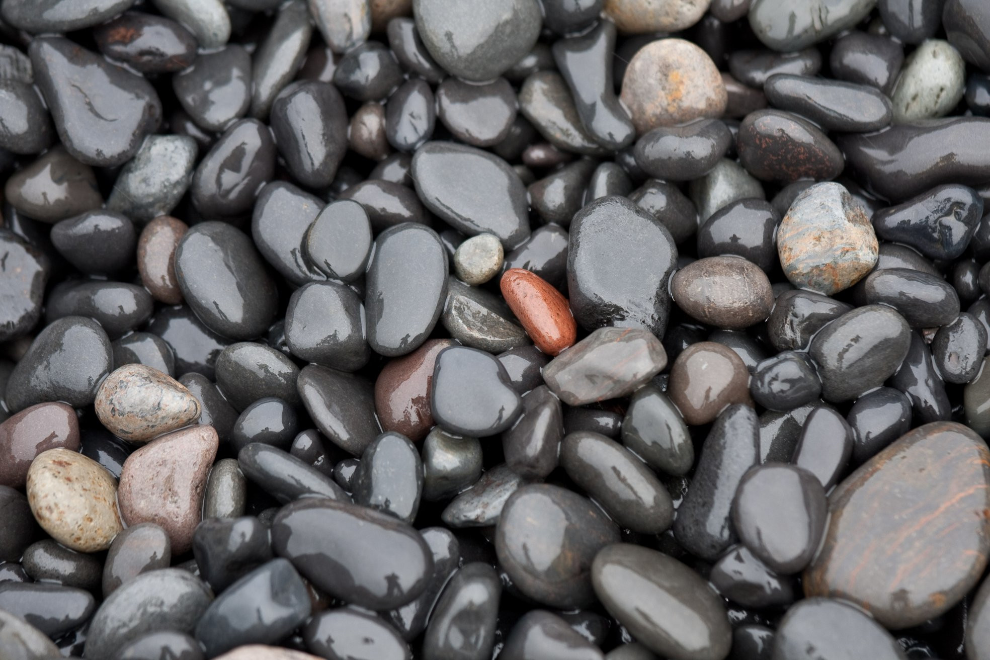 Исландия, фото № 4432 – фотографии Исландии