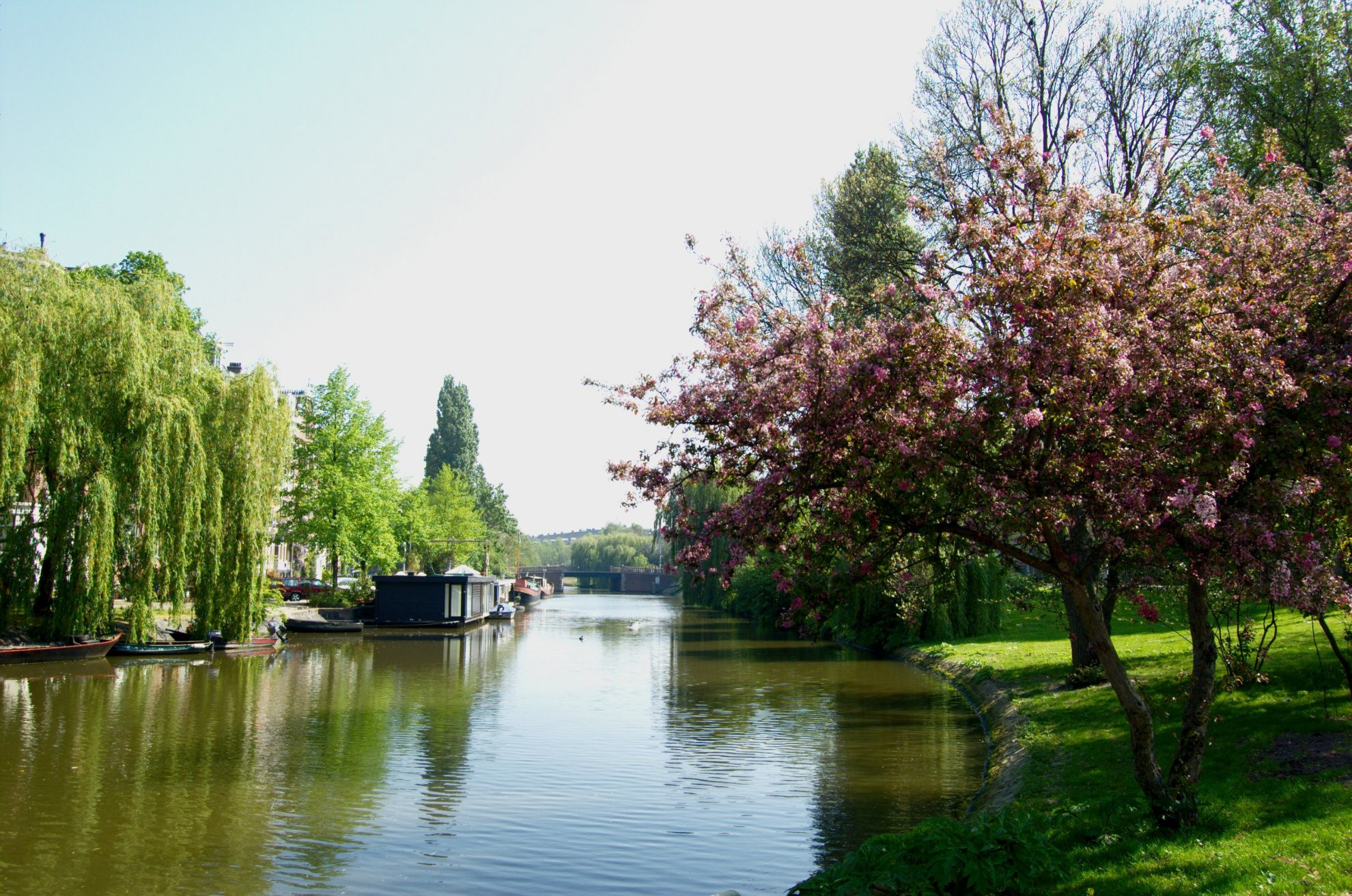 Природа вдоль канала реки в Амстердаме, Нидерланды – фотографии Нидерландов