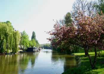 Природа вдоль канала реки в Амстердаме, Нидерланды – фотографии Нидерландов