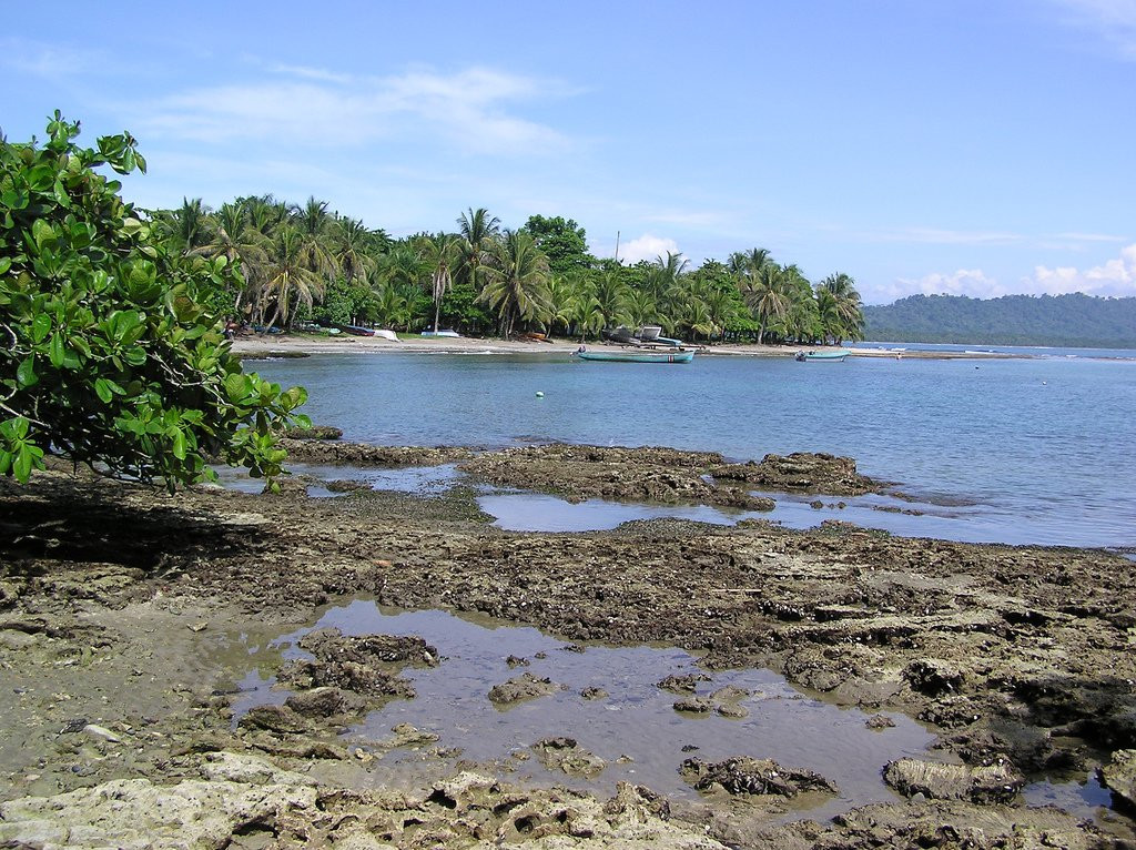 Пуэрто Вьехо, Лимон провинция, Коста-Рика, фото № 40200 – фотографии Коста-Рики