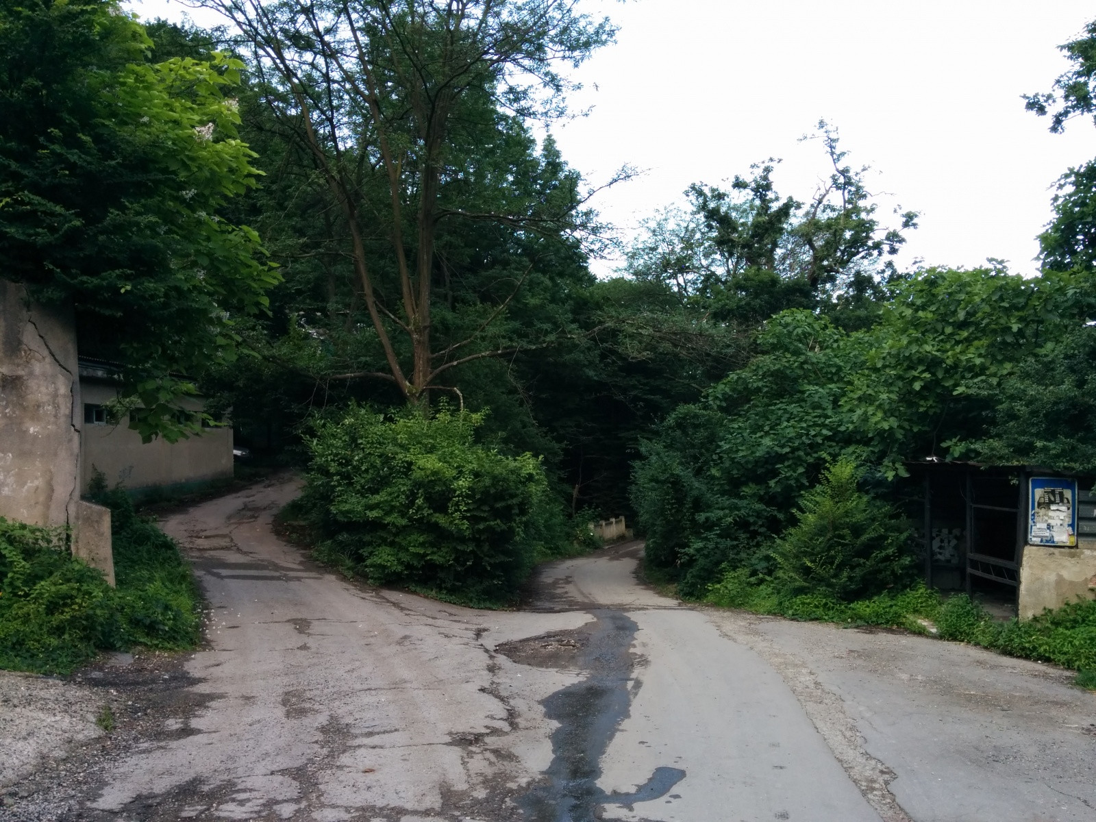 Дорожки в посёлке Южный – фотографии России