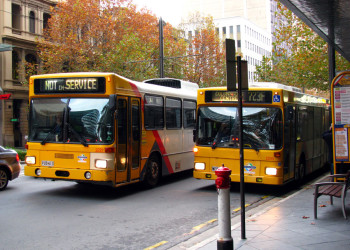 Городские автобусы, Аделаида – фотографии Австралии