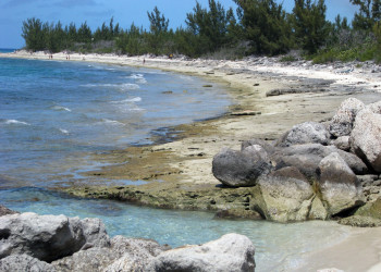 Берега в Эльютера, Багамские острова. Фото 3 – фотографии Багамских островов