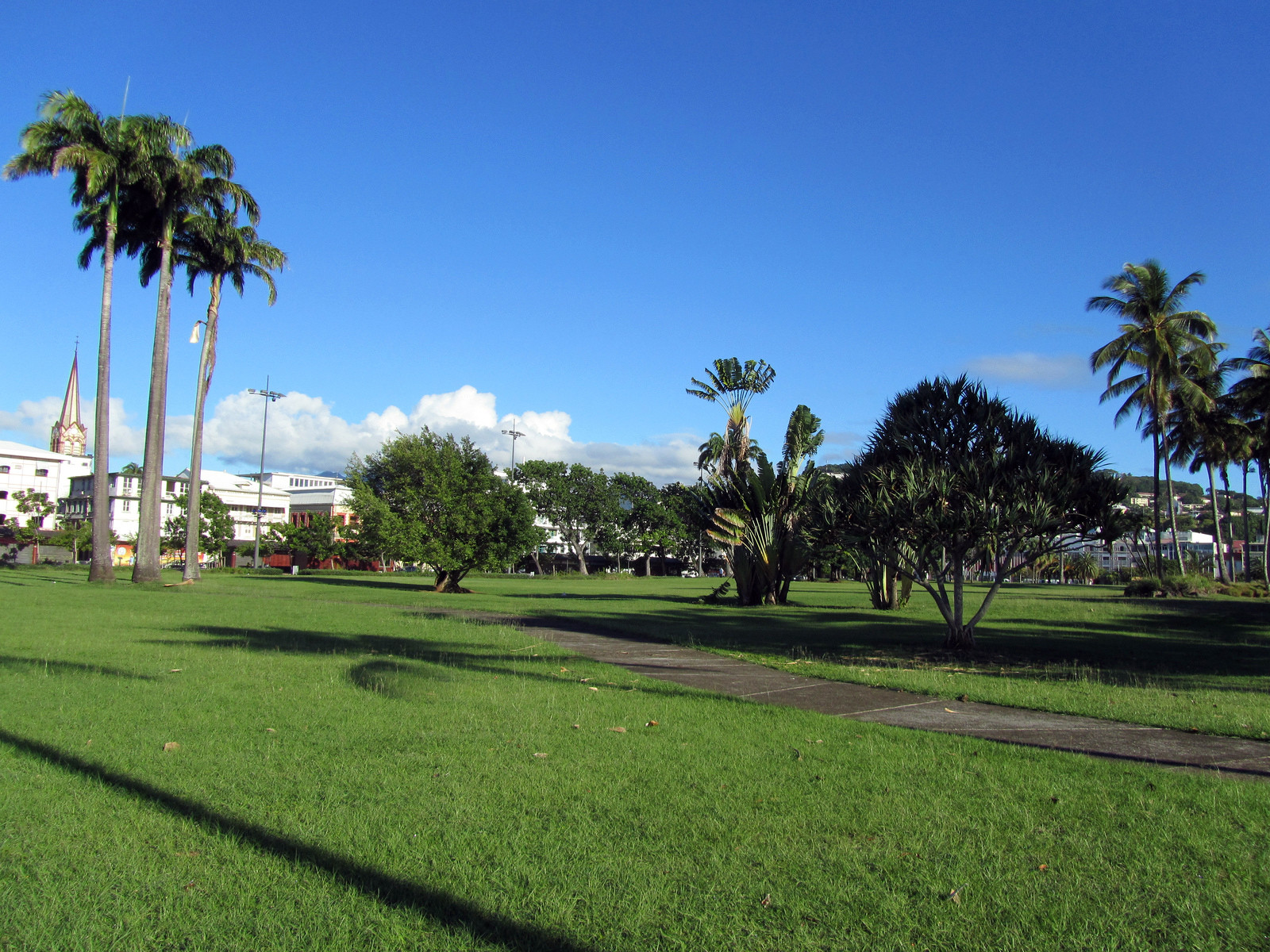 Фор-де-Франс (Fort-de-France), Мартиника. Фото 58 – фотографии Мартиники