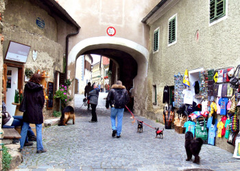 Дюрнштайн (Dürnstein) – фотографии Австрии