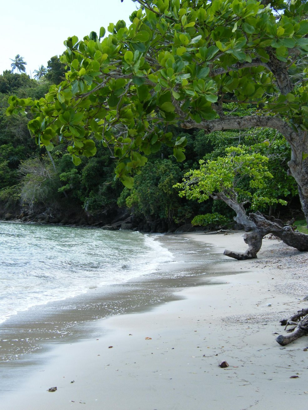 Самана, Доминикана, фото № 30656 – фотографии Доминиканы