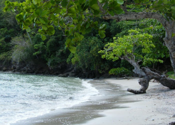 Самана, Доминикана, фото № 30656 – фотографии Доминиканы