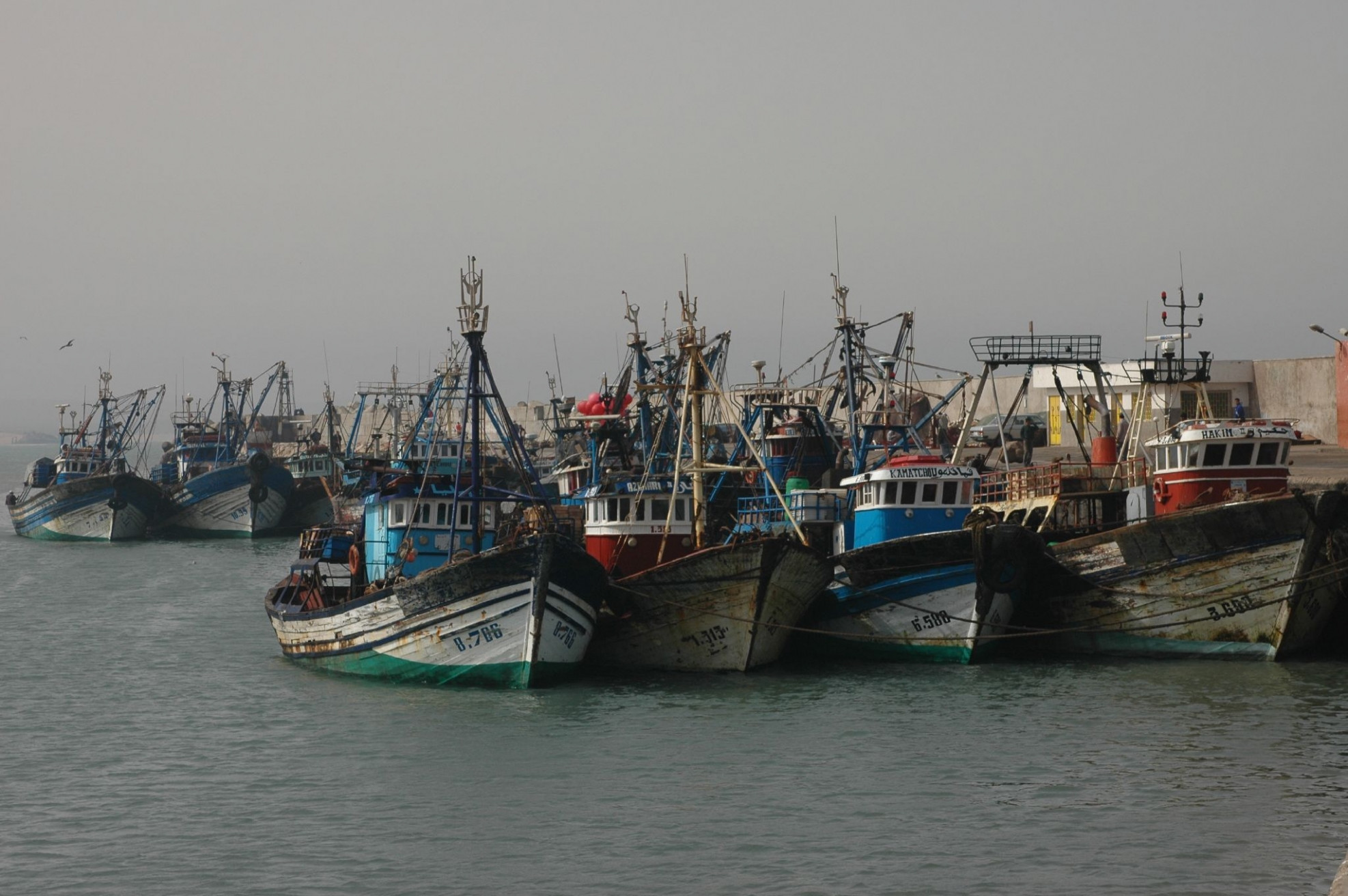 Эссувейра, Марокко, фото № 8794 – фотографии Марокко