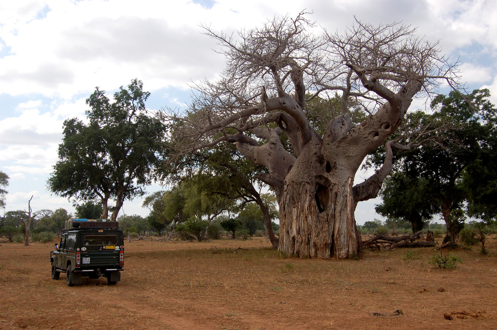 Национальный парк Гонарежу в Зимбабве. Фото 3 – фотографии Зимбабве