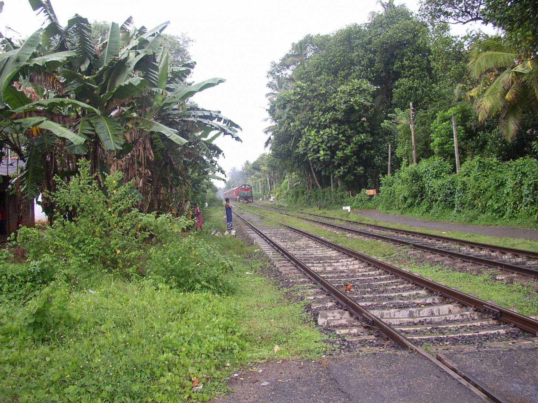 Калутара, Шри-Ланка, фото № 51259 – фотографии Шри-Ланки