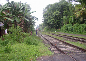 Калутара, Шри-Ланка, фото № 51259 – фотографии Шри-Ланки